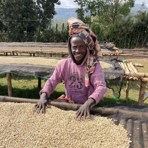 Ethiopia Karamo Washed(24/25年クロップ)　100g - 画像 (4)