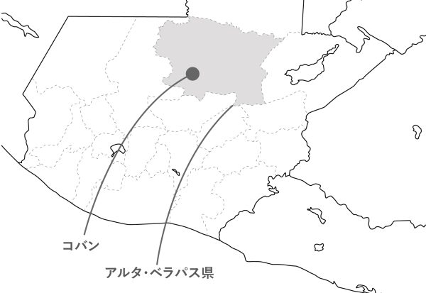 グアテマラ コバン オーロラ農園 マラゴジッペ ウォッシュ 100g - 画像 (11)