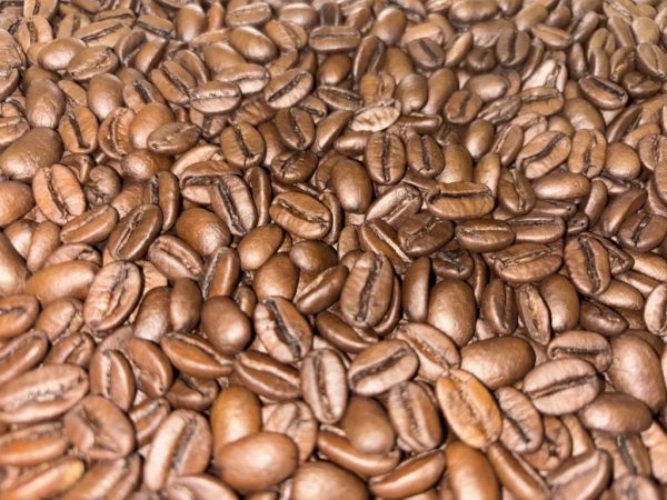 【Subscription】Specialty Coffee Select400／月