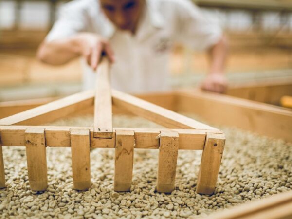 Miyata Coffee Roaster オリジナルブレンド 100g - 画像 (9)